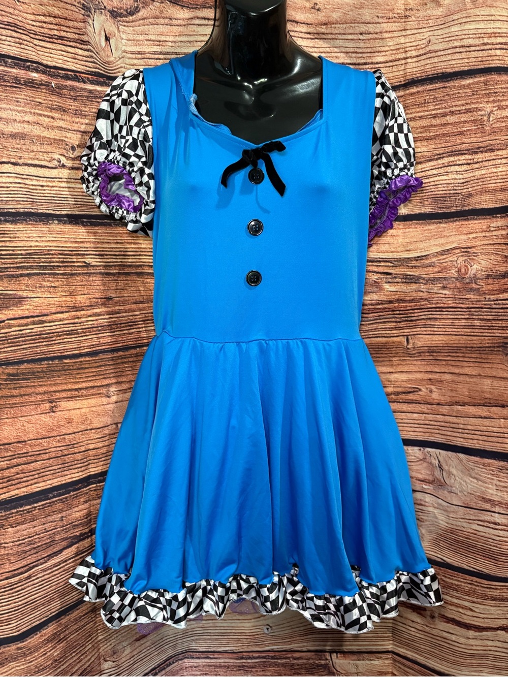 Adult Alice Down the Rabbit Hole Costume